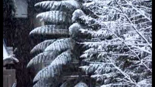 Neve rivisondoli mattino 22 gennaio 2011.mov