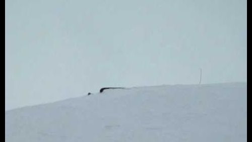 freeride verbier