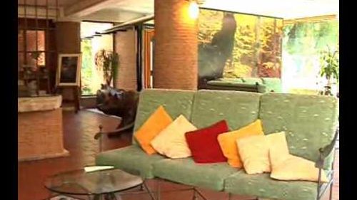 Albergo il picchio