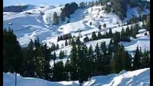 Monte pana - alpe di siusi