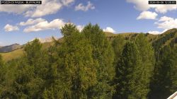 Pozza di Fassa Buffalure
