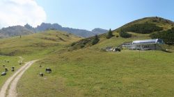 Seiseralm - Golden Peak