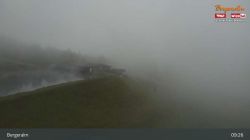 Bergeralm - Steinboden 1650 m.