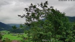 Lenk: i. S. Blick auf Betelberg