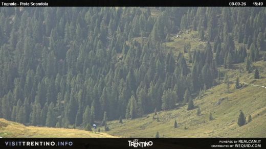 San Martino di Castrozza Tognola Alpine Pasture Hut