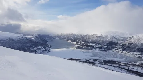Norvegia