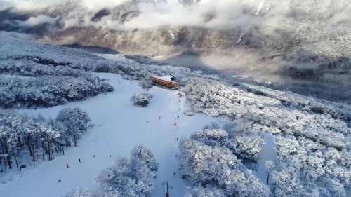 In Argentina and Chile protocols are being prepared to open the ski centers
