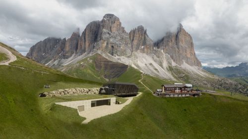 Colrodellaestate