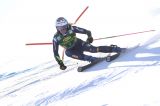 Women’s Alpine Skiing