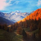 Val Senales in autunno