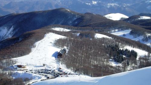 Campoforogna