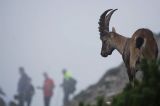 FOTO: Sky Race Dolomiti Friulane 2008