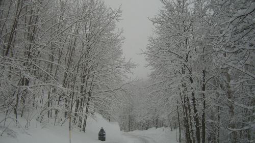 COLLE VALCASOTTO