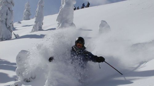 Choose a ski: choose categories including
