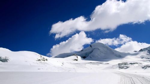 saas fee