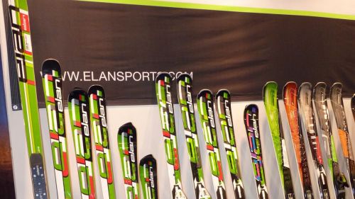 Elan close to bankruptcy. The 'European Union shall order the bankruptcy.