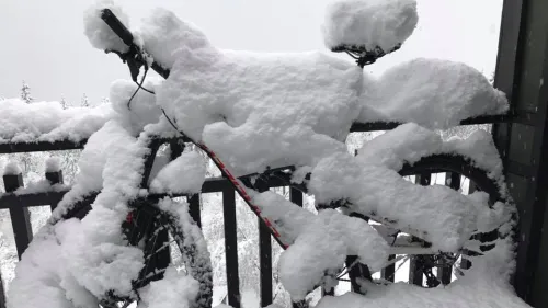 Theres a lot of snow in the forecast for the Alps