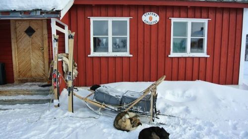 Kastelaar impresa Artica