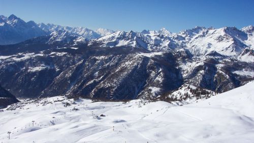 chamois 023