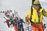 Scufoneda 2014
