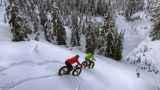 Fat Bike