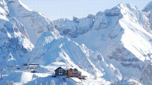 rifugio orso bruno 