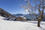 Mountain Farm Stays