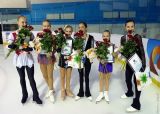 National Figure Skating Competitions