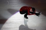 National Figure Skating Competitions