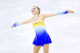 National Figure Skating Competitions