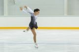National Figure Skating Competitions