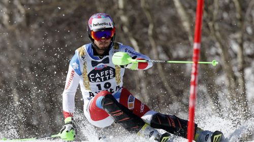 Luca Aerni and Gino Caviezel on the shields to the Swiss National Davos. In superg good test of Guglielmo Bosca