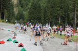 Nordic Skiing