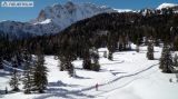 VIDEO - Discovering the cross-country ski run of Passo Pramollo (UD)