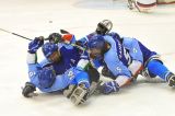 Winter Paralympics