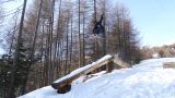 The Forest: a freestyle park with wooden structures