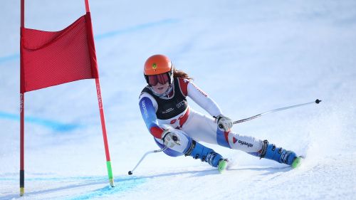 Noram Cup: in the second Lake Louise downhill won Willinger and Werry