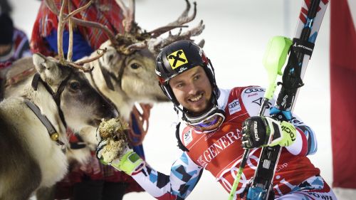 Forty victories in the World Cup: first Hirscher or Tomb?