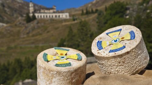 Castelmagno DOP. La Valle Grana ha un cuore di formaggio ... ma non solo