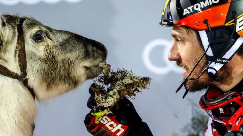 No superG of Beaver Creek for Marcel Hirscher