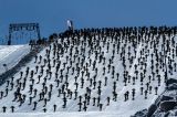Mountain Bike a Les 2 Alpes
