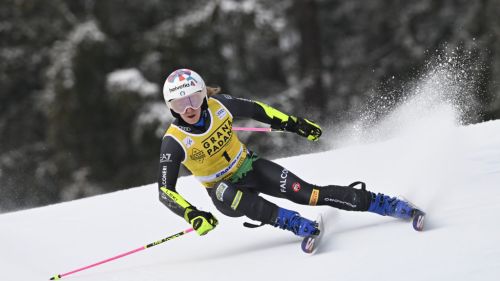 Non c'è Odermatt? Gli sv
