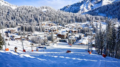 Campiglio is ready for its big night: positive snow control on the Miramonti gully