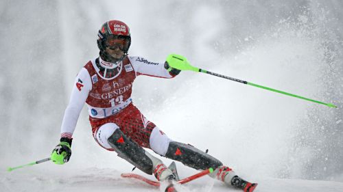 The best Austrian Hirsch ... buehl: what an effort for the Wunderteam without the ace of cups