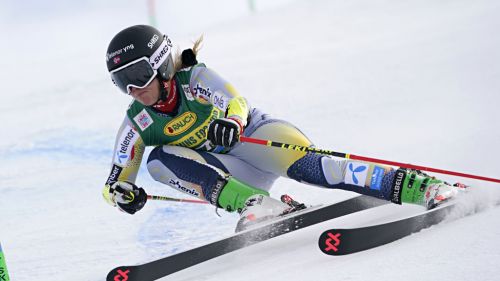 Andalo speaks Norwegian: first European Cup giant to Holtmann, Bertani and Pichler's comeback
