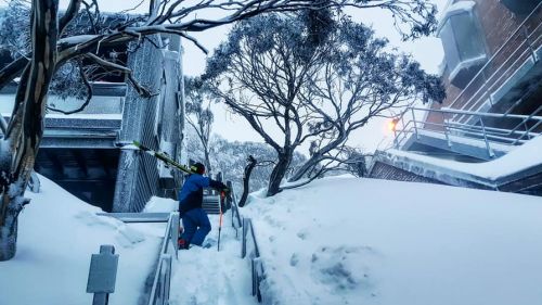 In Mount Hotham also fog and wind after the snow: the Australian giants returned