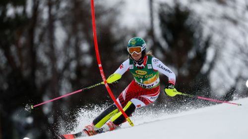 In Maribor we work on "plan B" in case of lack of snow: a new track for the races on January 8-9?
