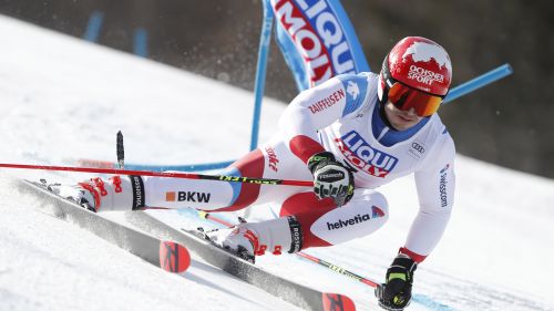 Meillard's flat rate for the Japanese races is official: the Swiss is not a giant disputer and slalom