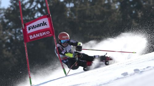 Zubcic between training and FIS competitions in Bansko (where Bertani dominates in giant): in the Olympic year to raise the bar