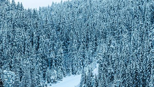 The Gran Risa temple is ready: snow control ok, green light for the races on December 20-21